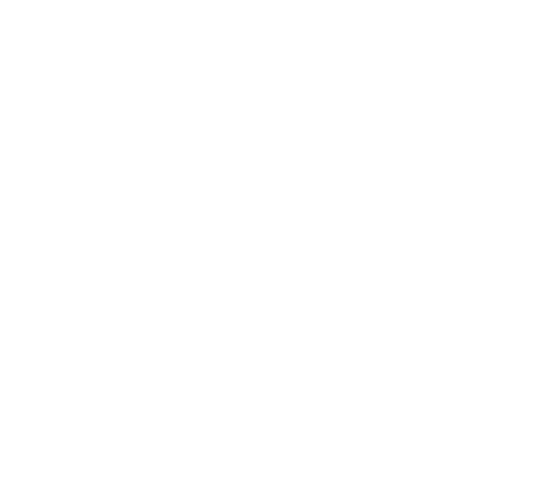 CK white logo submark icon